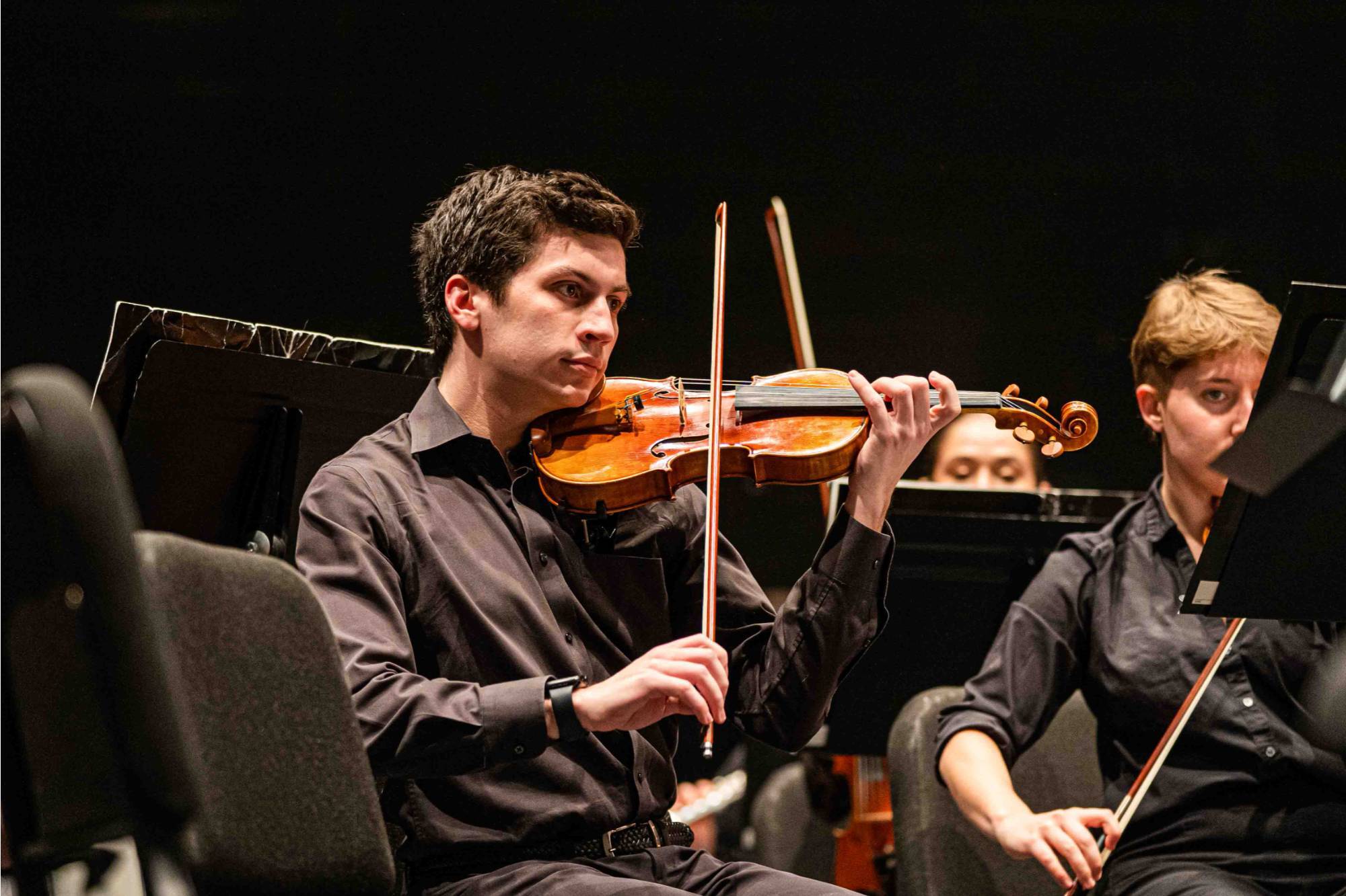 andrew violin